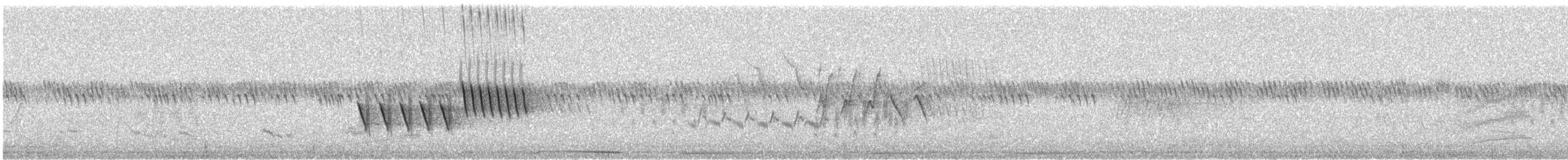 Spotted Towhee - ML627326508