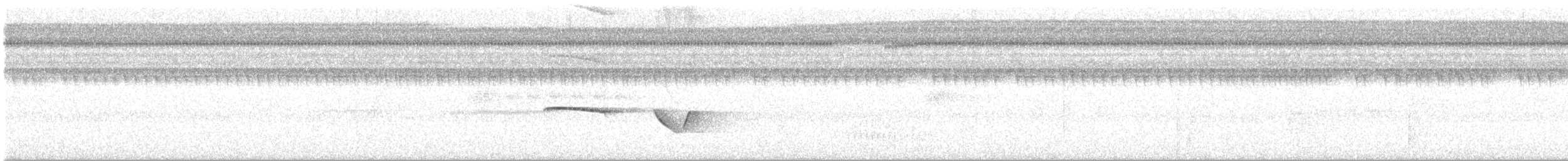 Varzea Schiffornis - ML627327136