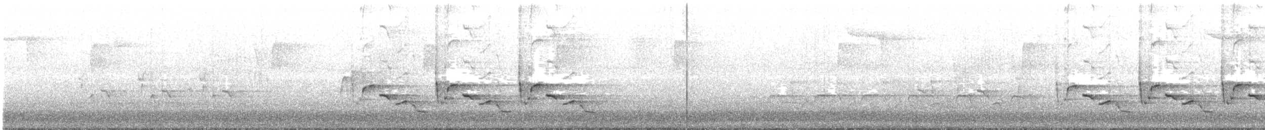 Carolina Wren - ML62733181