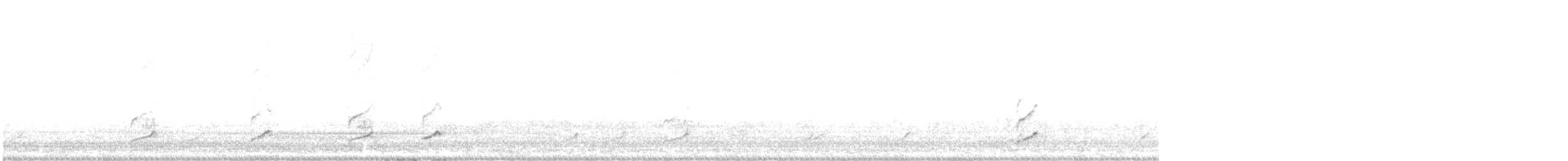 Phainopepla - ML627337337