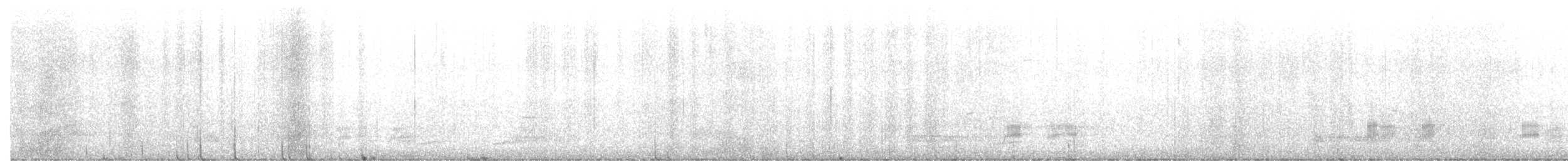 Gadwall - ML627337339