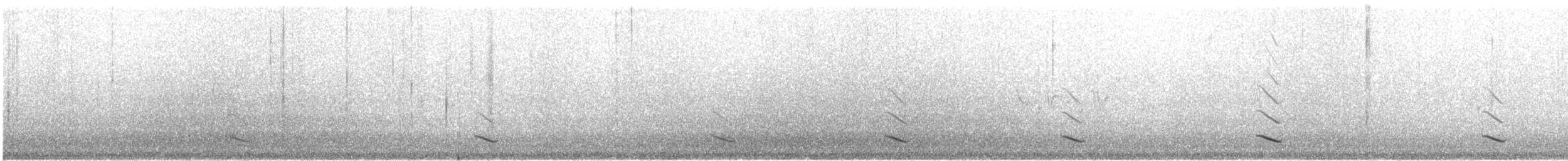 Audubon's Oriole - ML627340533