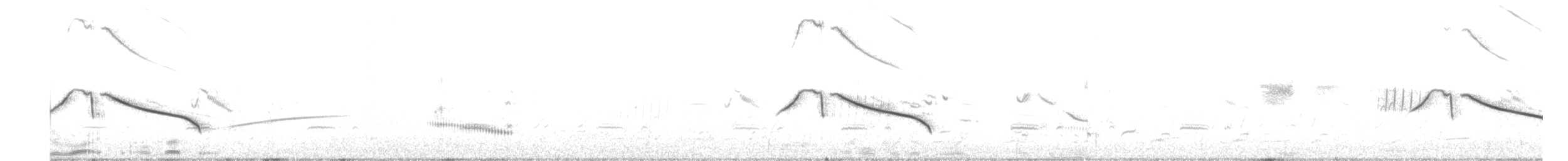 Cape Long-billed Lark (Cape) - ML627346759