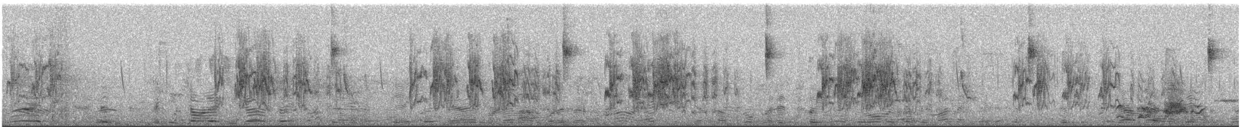 Mountain Parakeet - ML627348695