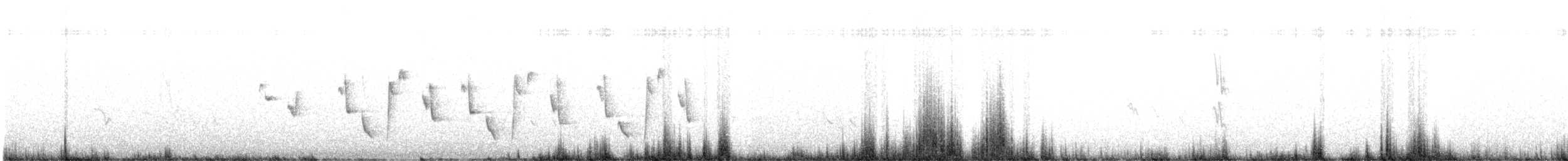 Noisy Scrub-bird - ML627349190