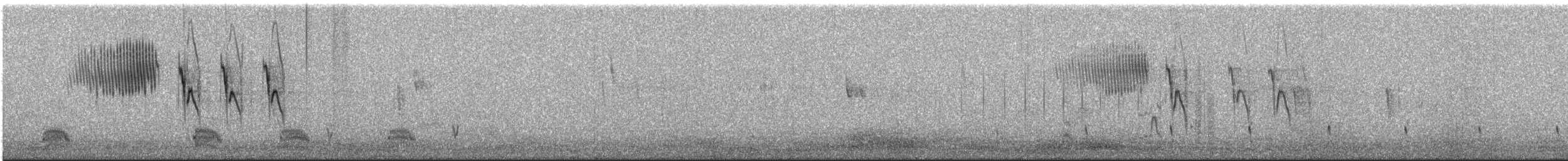 Yal Plebeyo - ML627350062