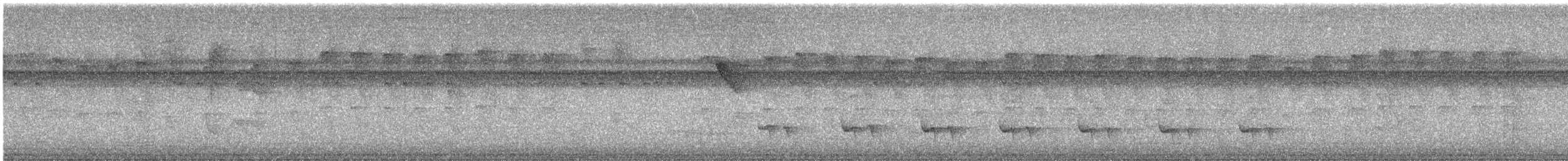 Stripe-chested Antwren - ML627363581