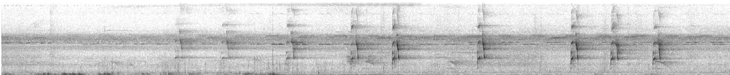 Bindenarassari - ML627372244