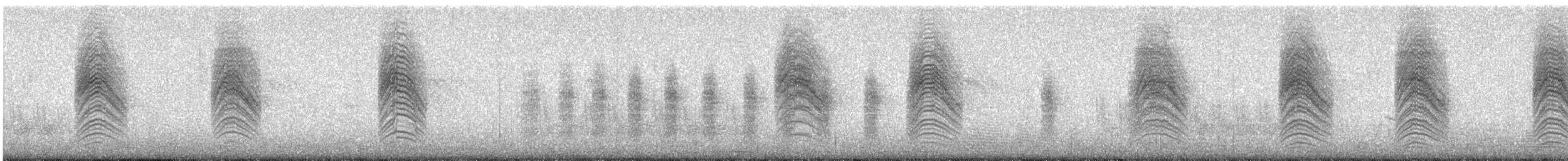 leskot yukatanský - ML627375291