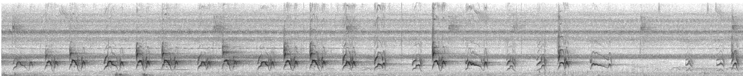 White-fronted Nunbird - ML627376616