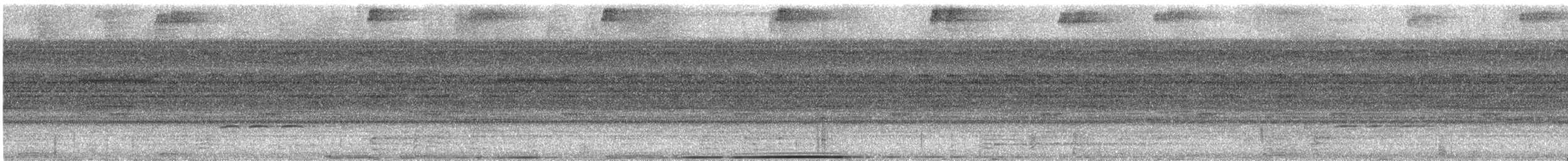 Nocturnal Curassow - ML627377927