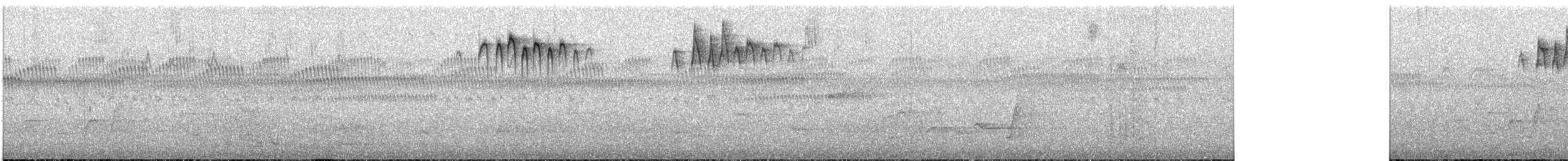 Southern Emuwren - ML627386822