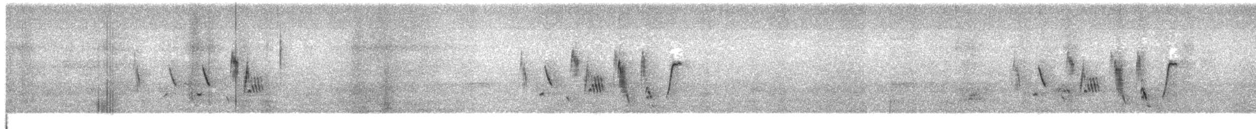 Correndera Pipit - ML627390521