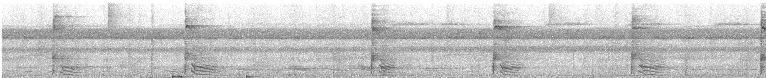 Rothalsspecht - ML627412014