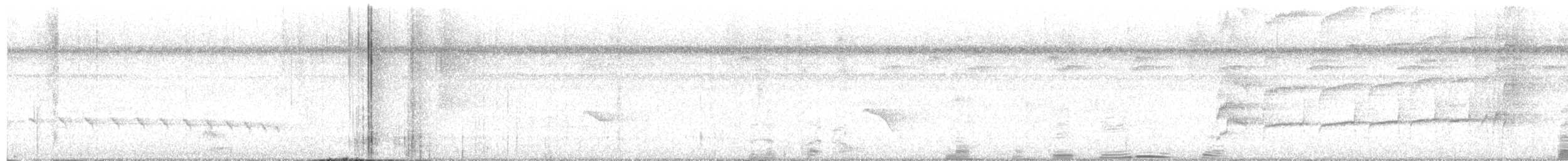 Пласкодзьоб західний - ML627417783