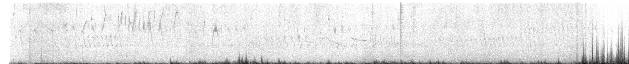 Pampas Pipit - ML627422399