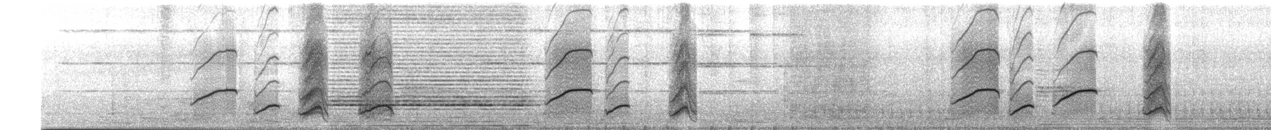 Black Drongo - ML627426005