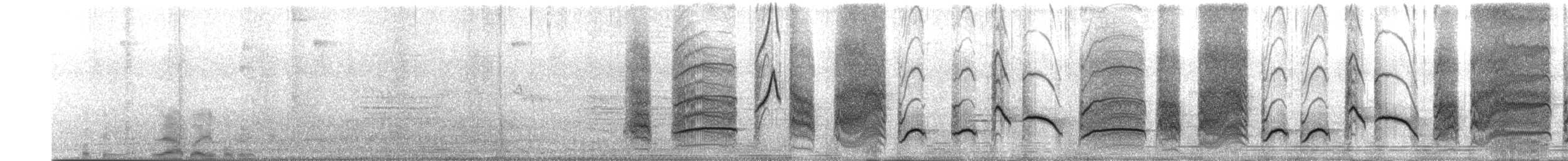 Black Drongo - ML627426006