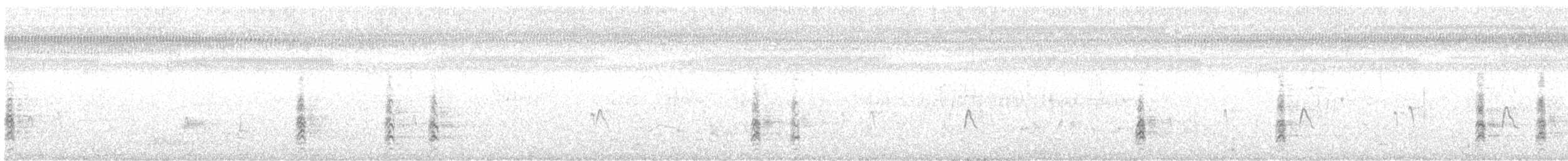 Échasse d'Amérique - ML627428949