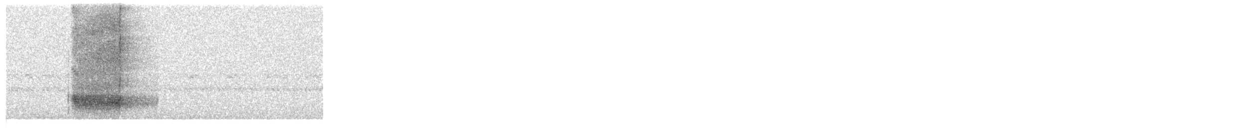 American Barn Owl - ML627444493