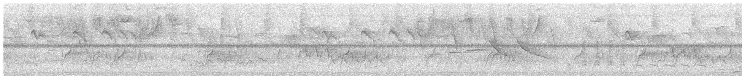 Common Potoo - ML627445319