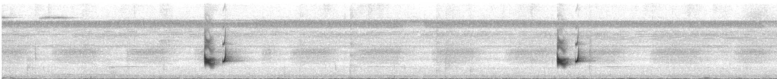 Манакін-стрибун карликовий - ML627448292