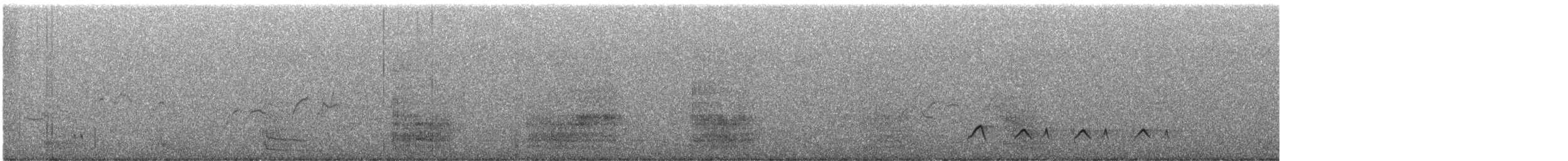 Western Bowerbird - ML627451176