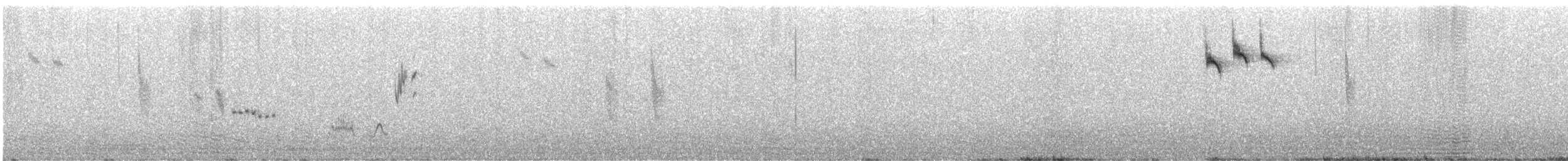 Sandhill Grasswren - ML627451419