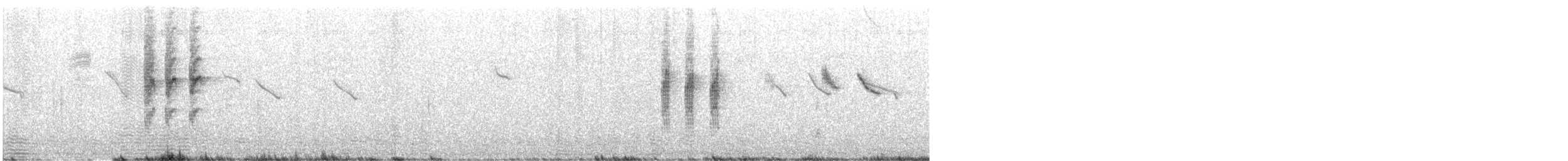 Slaty-backed Thornbill - ML627451681