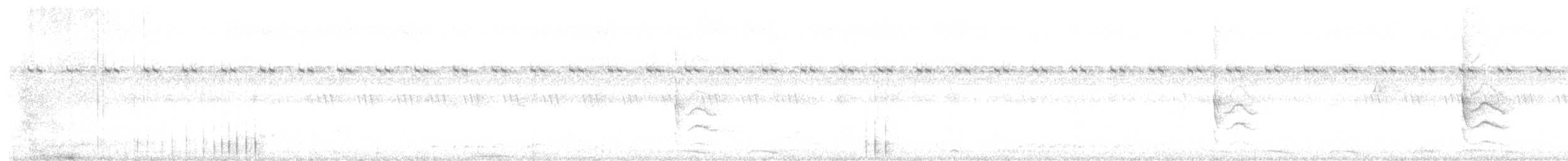 Pic canente - ML627452781