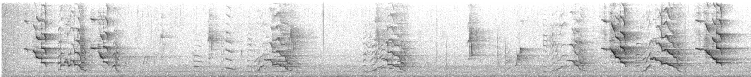 Baudin's Black-Cockatoo - ML627454328