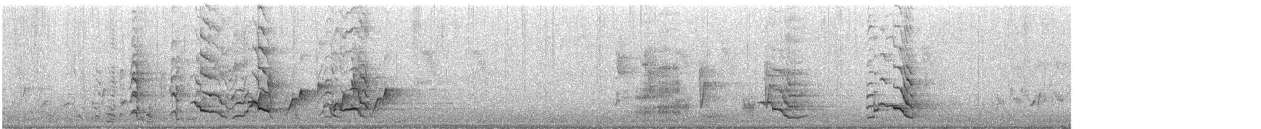 Baudin's Black-Cockatoo - ML627454329