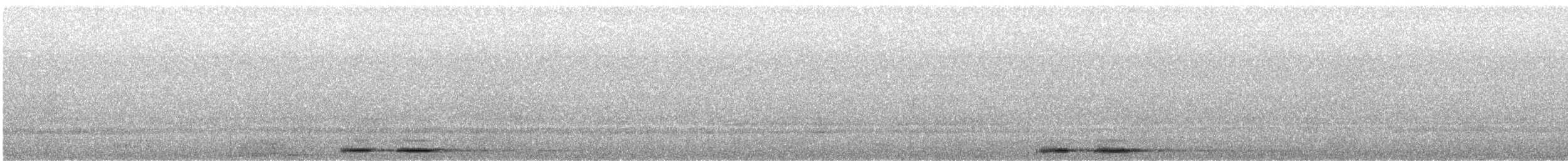 Tasmanian Boobook - ML627460413