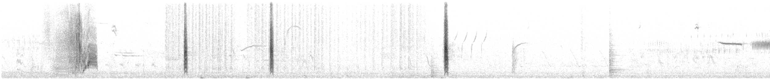Brewer's Blackbird - ML627462907