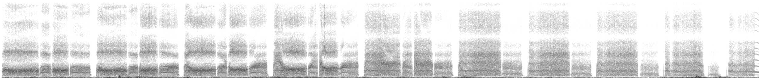 Black-vented Shearwater - ML627464327