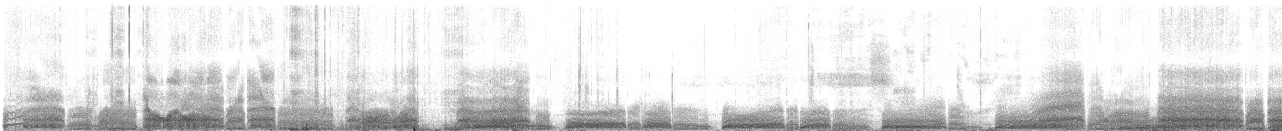 Black-vented Shearwater - ML627464331