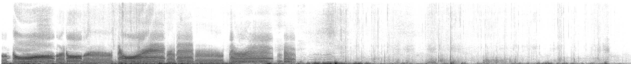 Black-vented Shearwater - ML627464332