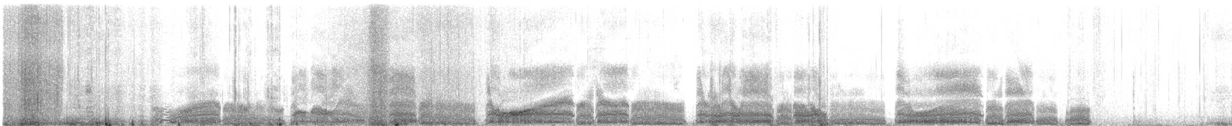 Black-vented Shearwater - ML627464333