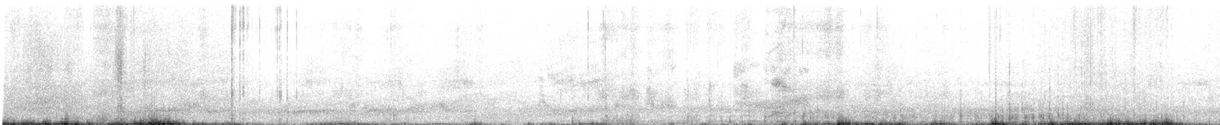 Black-vented Shearwater - ML627464541
