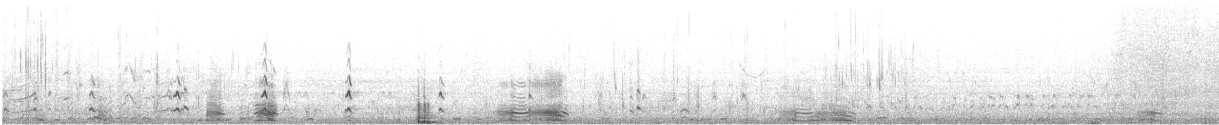 Eared Grebe - ML627465051