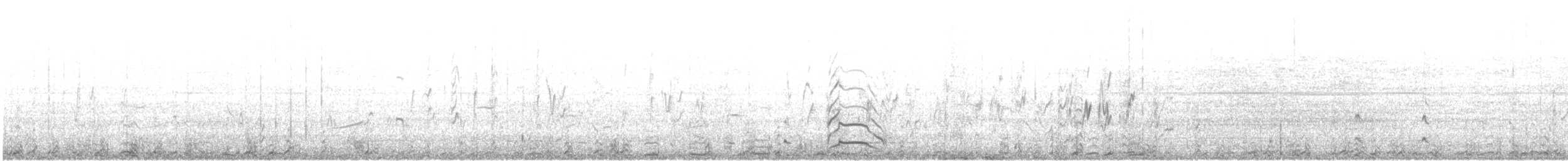 Wilsonwassertreter - ML627465062