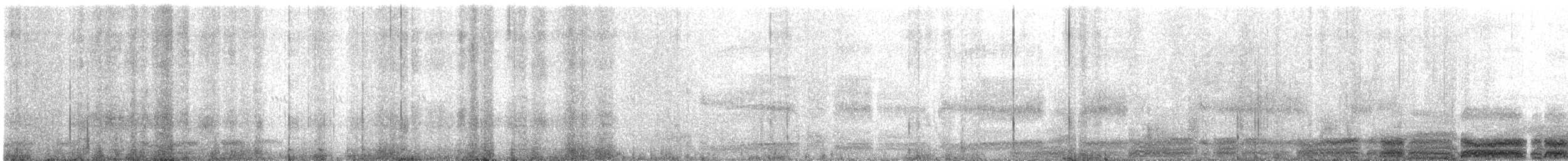 Black-vented Shearwater - ML627465942