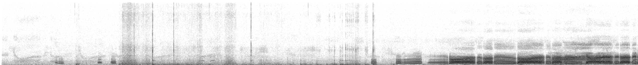 Black-vented Shearwater - ML627465943