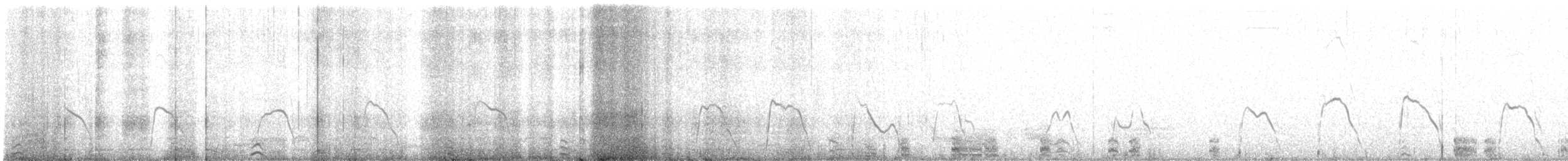 Black-vented Shearwater - ML627466065