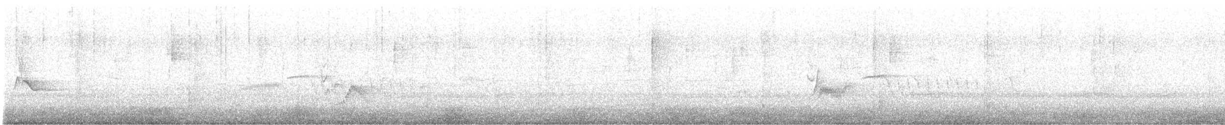 Cassin's Vireo (Cassin's) - ML627468460