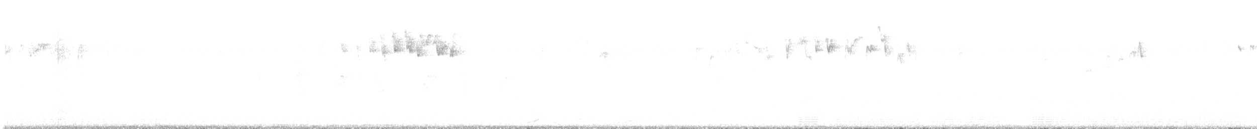 キクイタダキ（teneriffae） - ML627477426