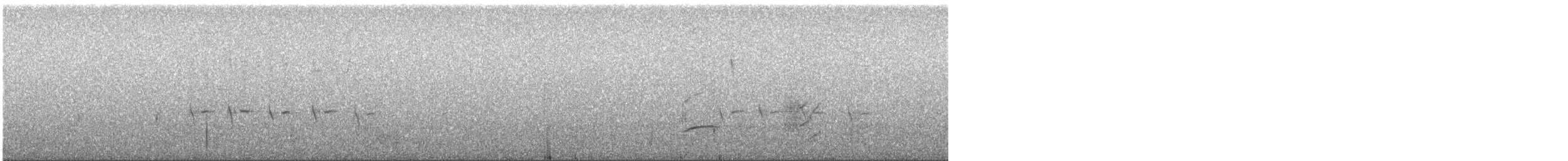 Шишкар ялиновий (підвид corsicana) - ML627477738