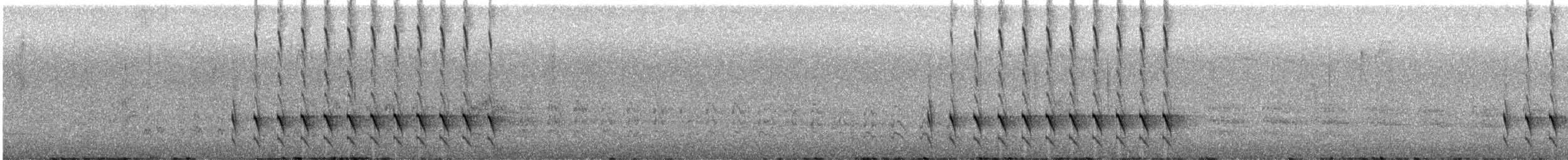 Ochre-flanked Tapaculo - ML627478797