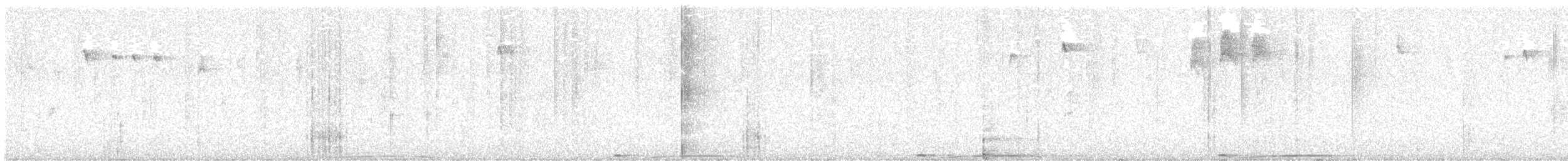 Band-tailed Pigeon - ML627482163