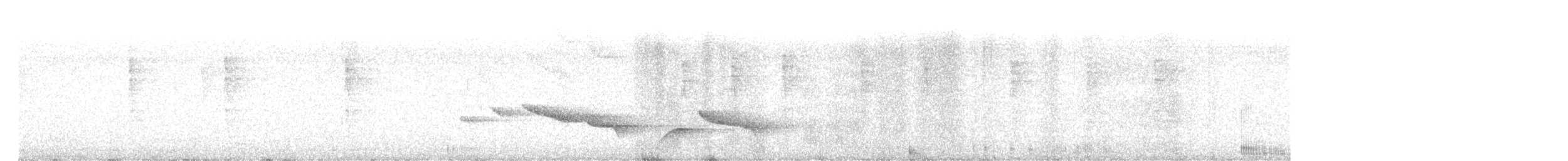 Nava's Wren - ML627483744